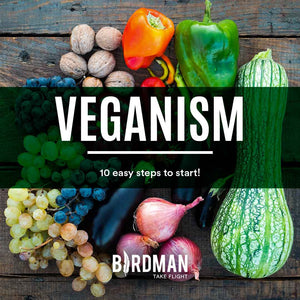 10 Steps to Start a Vegan Lifestyle