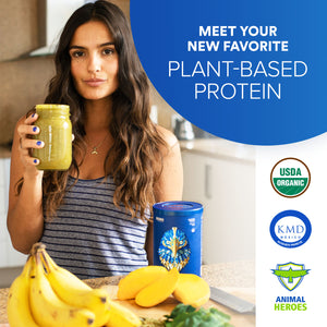 Falcon Protein - Plant-Based Protein Powder 1.38 lb (Vegan), 21 Servings, Chocolate Flavor